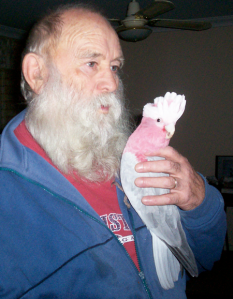 Woodrow W Woody, the galah belonging to Brooke. He would tear anyone else to shreds if they tried to handle him.